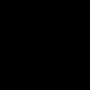 Meet your Posher, Janeris